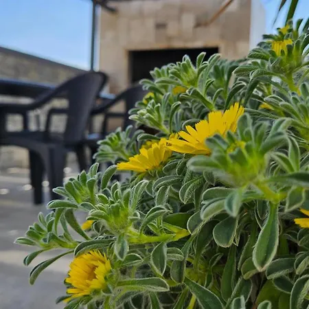 Silver Starigrad Paklenica