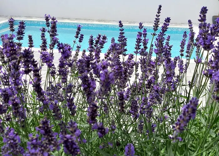 Silver * Starigrad Paklenica