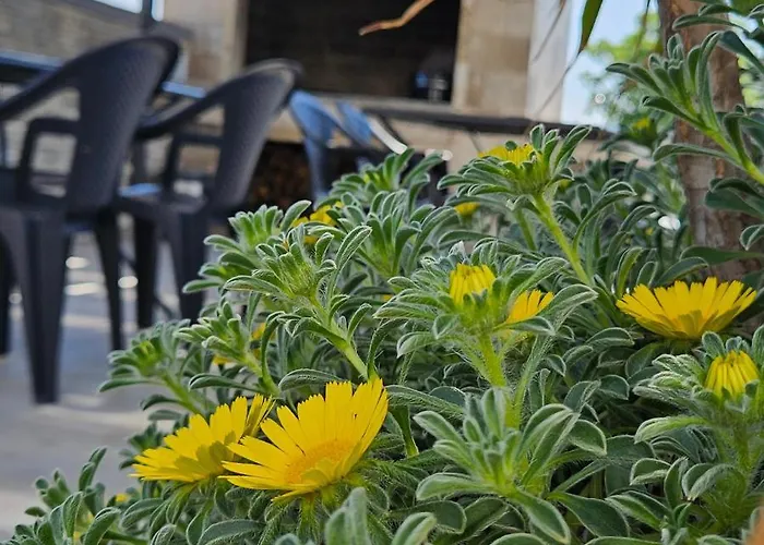 Silver * Starigrad-Paklenica