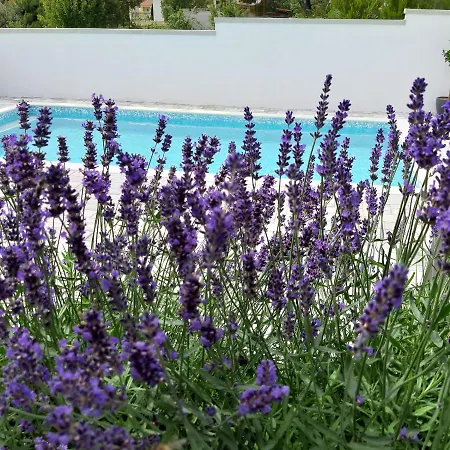 Silver * Starigrad Paklenica