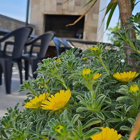 Silver * 斯塔利格拉德-帕克利尼卡